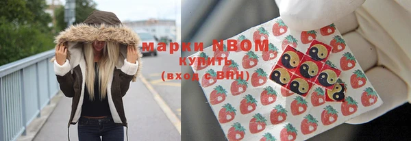 стаф Ростов
