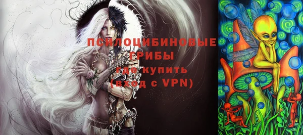 прущая мука Арсеньев