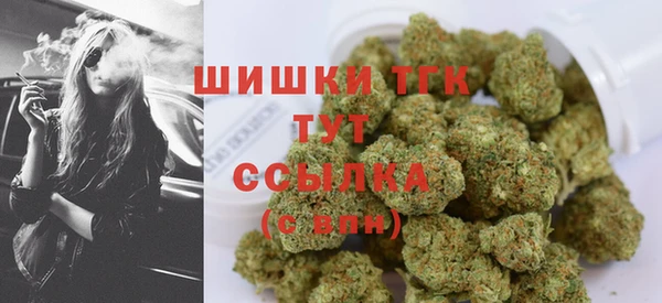 прущая мука Арсеньев